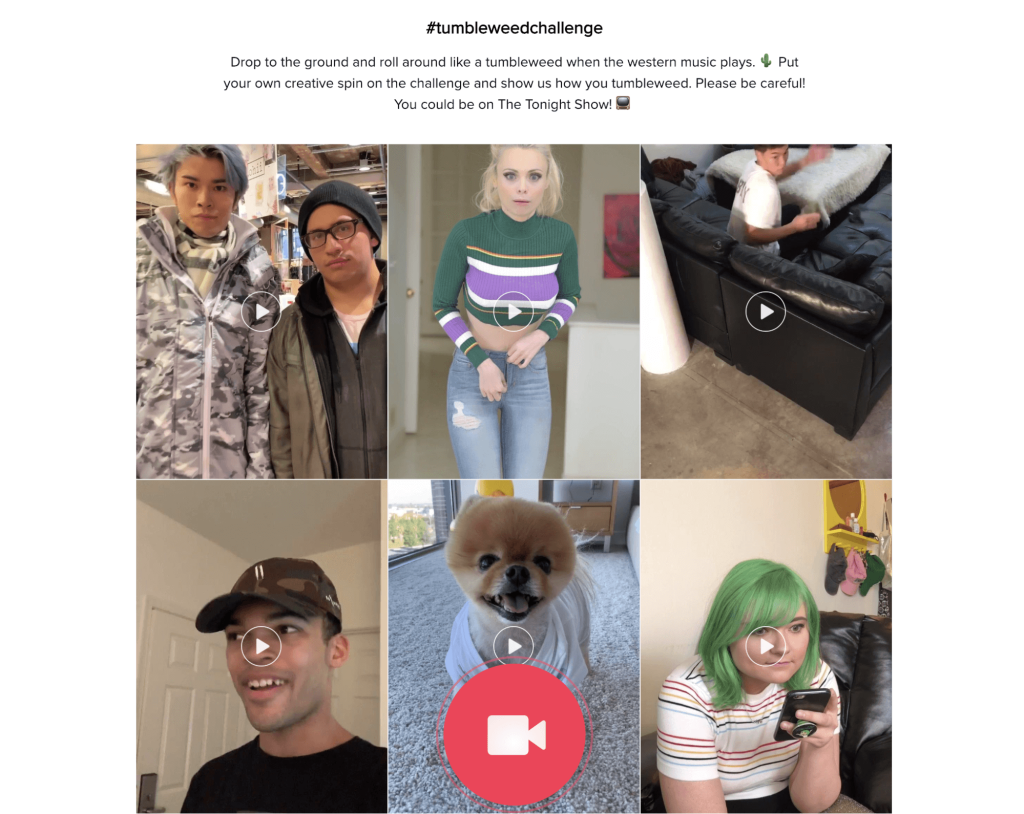 Tweet Images and videos