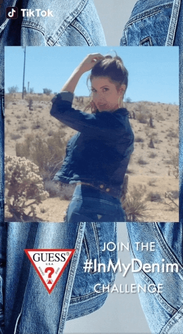 Tiktok Denim Challenge Image